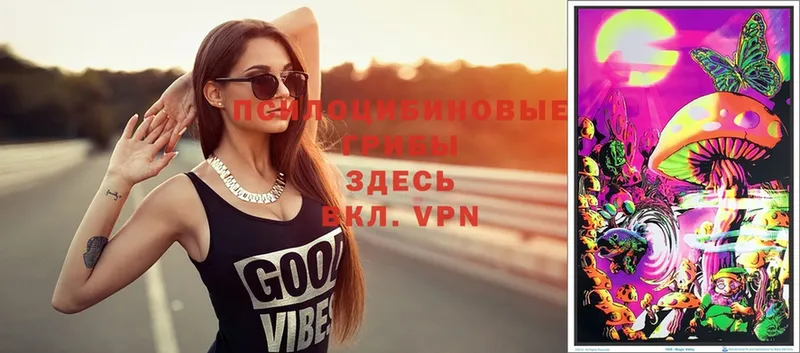 Псилоцибиновые грибы GOLDEN TEACHER  купить   shop какой сайт  Анапа 